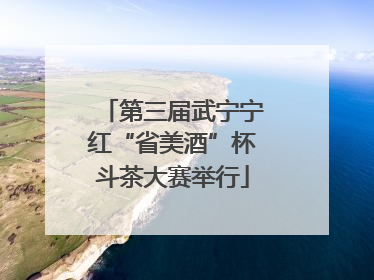 第三届武宁宁红“省美酒”杯斗茶大赛举行
